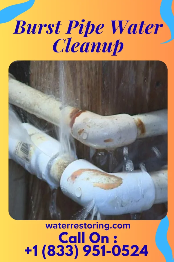 Burst Pipe Water Cleanup in Whitesville, KY