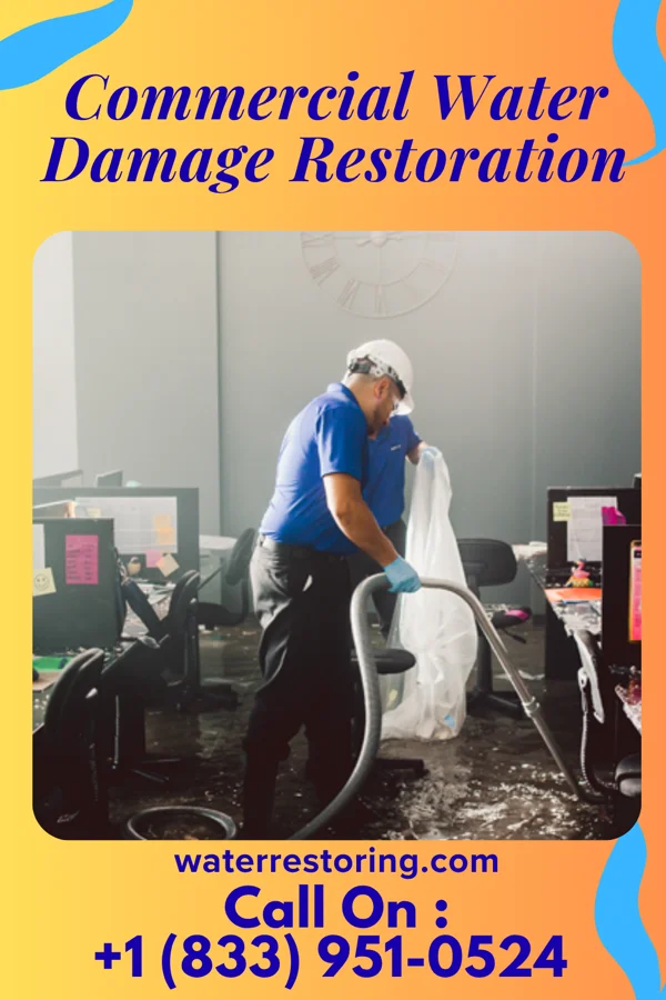 Commercial Water Damage Restoration in Whitesville, KY