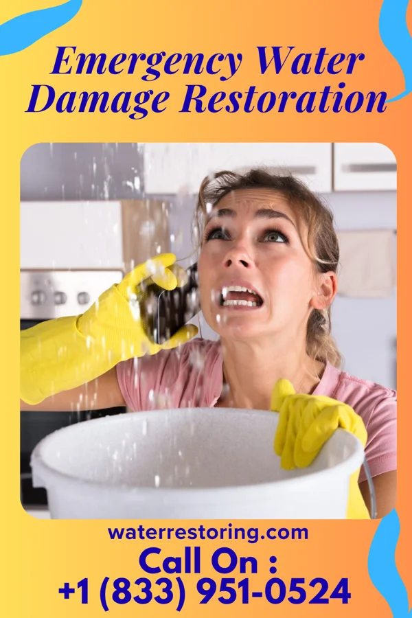Emergency Water Damage Restoration in Whitesville, KY