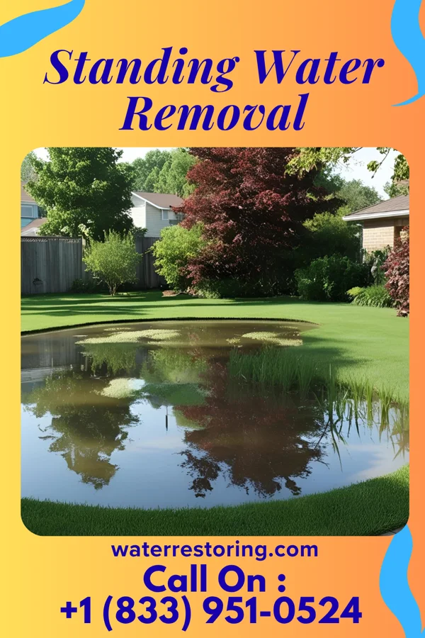 Standing Water Removal in Whitesville, KY